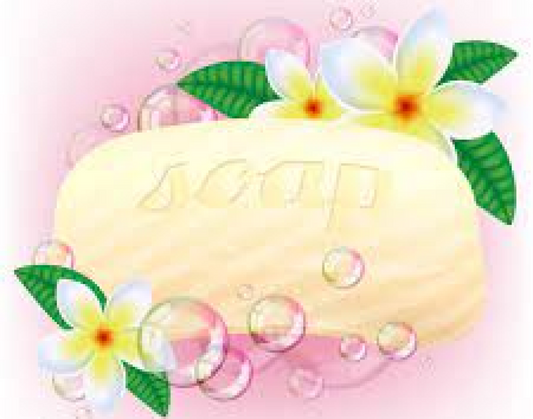 Lorem ipsum dolor sit amet, consectetur adipiscing elit. Aenean tempus do...